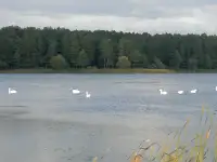 2 комн. кв., Гродненская Дятловский, фотография 10