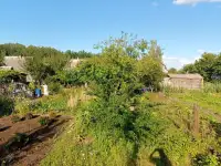 Продам дачу. Бобруйский район. Деревня Токари. СНТ Малиновка