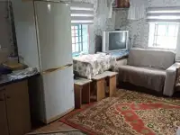 Дом-дача, Центральная ул, деревня Подгайцы, Фащевский сельсовет, район, Могилёвс, фотография 2
