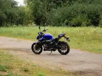 Мотоцикл AVM CHAMP 125, фотография 11