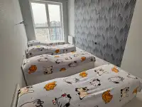 Сдам 2 ком для 7-8 строителей в Минск Мире, Ул. Алферова, 14, фотография 2
