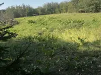 Продается кирпичный дом на Ольшанке с участком 24, Старая Ольшанка ул, Гродненская область, фотография 4