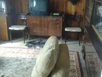 сдаю дачу, д. терюха ,,,,лесная 2а, фотография 7