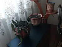 Распродажа имущества. Б/у 16 цветочных горшков с подставкой