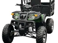 Квадроцикл грузовой atv storm panther, фотография 2