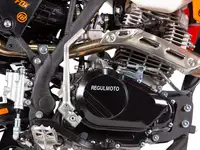 Мотоцикл эндуро regulmoto athlete pr 300, фотография 9