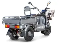 Грузовой электротрицикл rutrike баркас 740 60v1000w, фотография 3