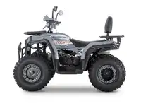 Квадроцикл yacota viking 200, фотография 2