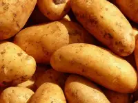 Продам картофель домашний.