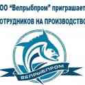 Обработчик рыбы