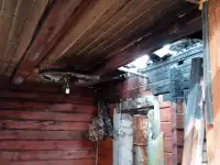 Продам дачу товарищество Водоканал, сразу за Коробчицами, фотография 10