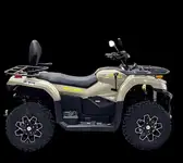 Квадрицикл bizon yk450al eps птс, фотография 3