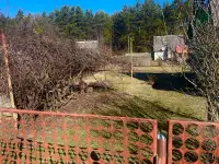 Продам дачу в Барановичах, Барановичский р/н д.Полонка, фотография 4