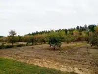 Предложение для тех, кто хочет иметь своё дело., фотография 11