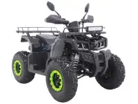 Квадроцикл TaoMotor JAEGER 2, фотография 2