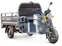 Грузовой электротрицикл rutrike мастер 1500 60v1000w, фотография 1