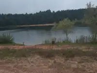 Продам дом, Д.Осипович,Влейский р.н, фотография 2
