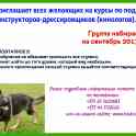 Курсы по подготовке кинологов