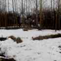 Участок, д. Илгайцы, р-н., фотография 4