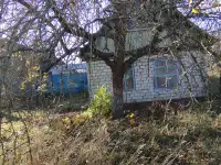 Участок с домом, П. Красный Октябрь, область, Буда-Кошелевский р- н., фотография 6