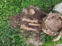 Чистка колодцев Молодечно, фотография 5