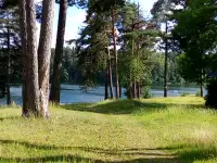 Квартира в санаторно-курортной зоне Лепельского района, фотография 7
