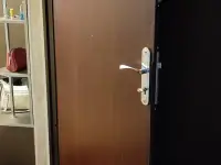 Входная металлическая дверь