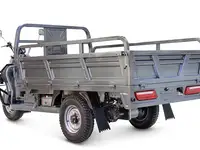 Грузовой электрический трицикл rutrike эксперт про плюс 2200, фотография 5