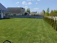 Ландшафт, покос, культивация, засев газоном, фотография 2