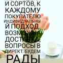 Тюльпаны