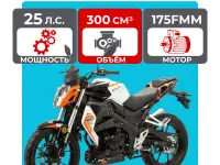 Мотоцикл дорожный Motoland WASP 300