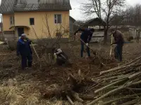 Услуги по вырезке деревьев, фотография 2