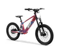 Электровелосипед rxf amoto evo racing 20