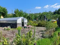 Продажа дачи, Брестская обл., Березовский р-н, Соколовский с/с, СТ 