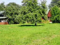 Продам усадьбу с баней беседкой на берегу озера, Витебская область, Поставский район, деревня Сурвилишки, улица Межозерная, 20б, фотография 3