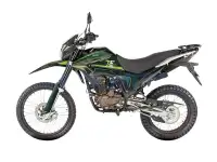 Мотоцикл Regulmoto TE PR 300cc, фотография 6