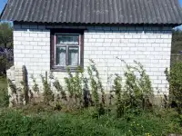Продажа дачи, Докудово-2