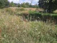 Дом в Пуще, д.Дворцы ул. Советская 40 Каменецкий р-н, фотография 5