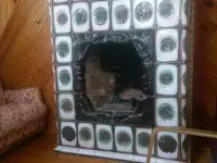 продается дом, район, деревня Ельница, фотография 2