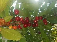 Продажа, фотография 5