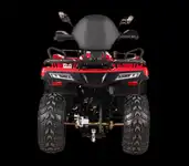 Квадрицикл bizon yk250 lux efi, фотография 2