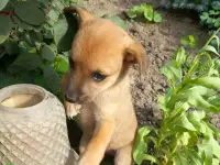 Бесплатно, фотография 11