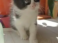Ну где ты, моя семья?)