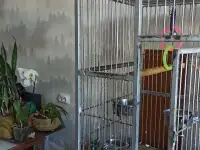 клетка для большого попугая, фотография 3