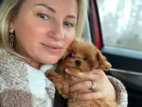 Микро и мини мальтипу ф 1 премиум Корея и той пудель