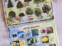 Лэпбук/альбом «Мая Радзiма - Беларусь!», фотография 6