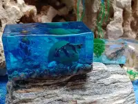 Сувенирный мини аквариум, фотография 3