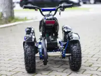 Электроквадроцикл MMG Eco Cobra 800W, фотография 3