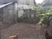 дом, Быховская, фотография 5