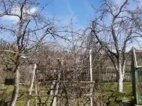 Продам дачу, с/т. Мичуринец - 87, Дзержинский р-н, С/т 